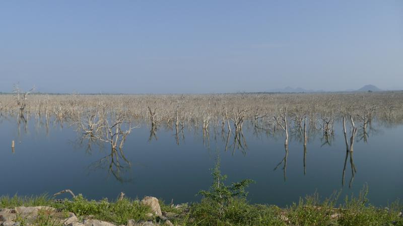Okresowe jezioro w Parku Yala