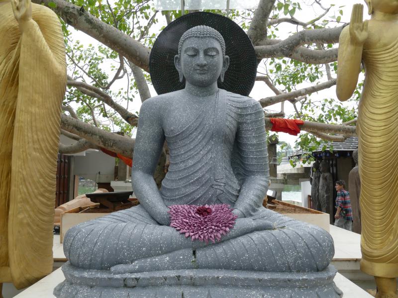 Posągi Buddy w świątyni Seema Malaka