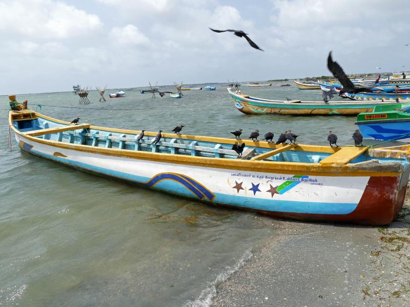 Łodzie rybackie na brzegu zatoki Mannar