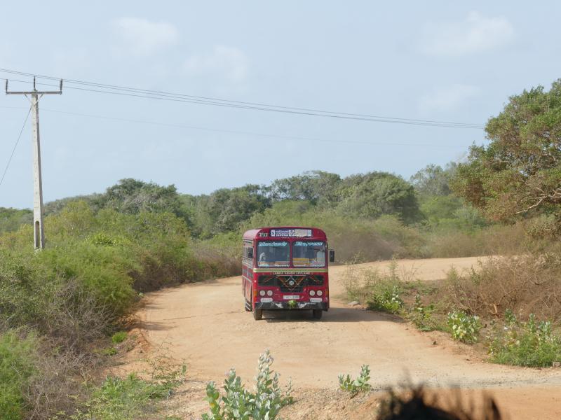 Czerwony autobus na Wyspie Mannar