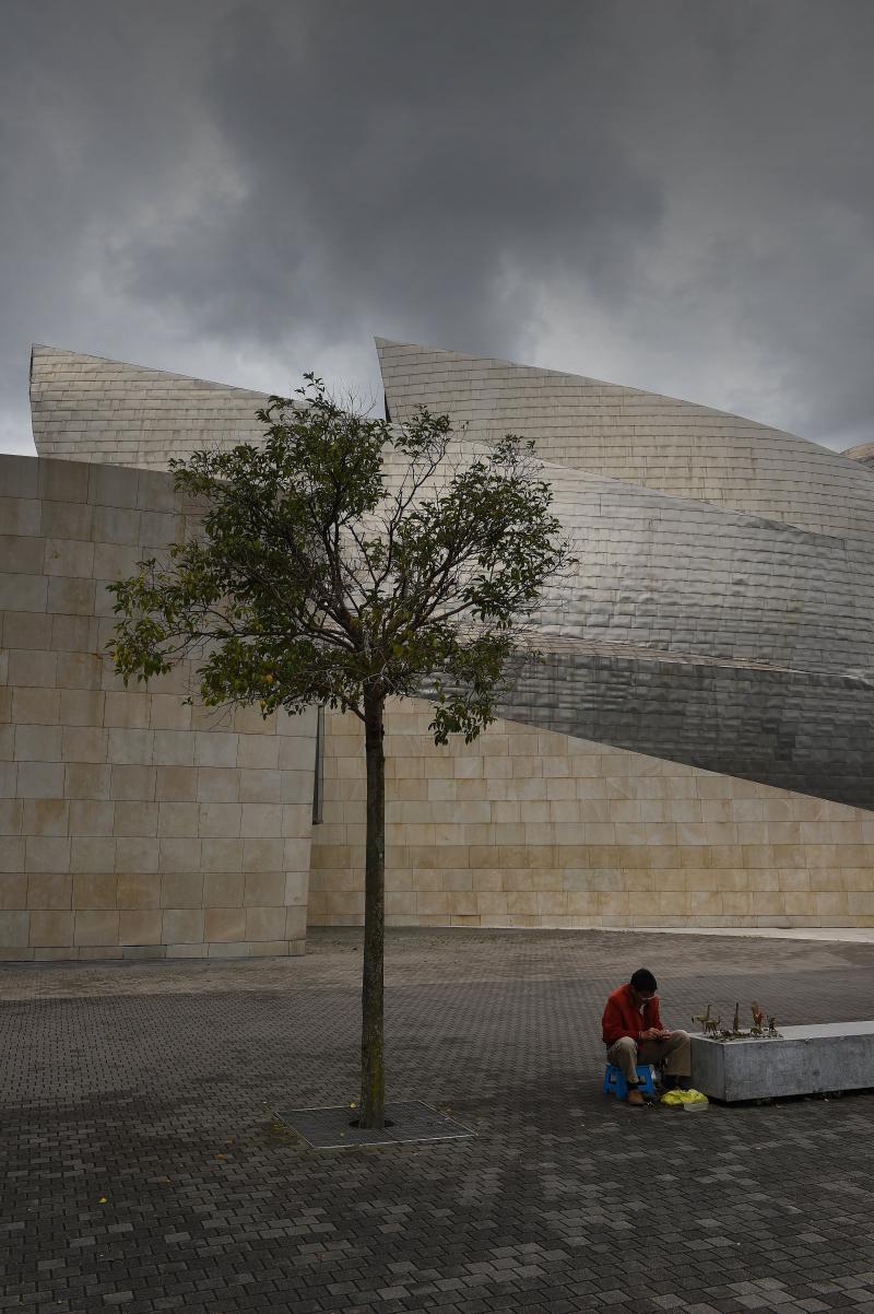 Bilbao muzeum Gugenheima drzewko