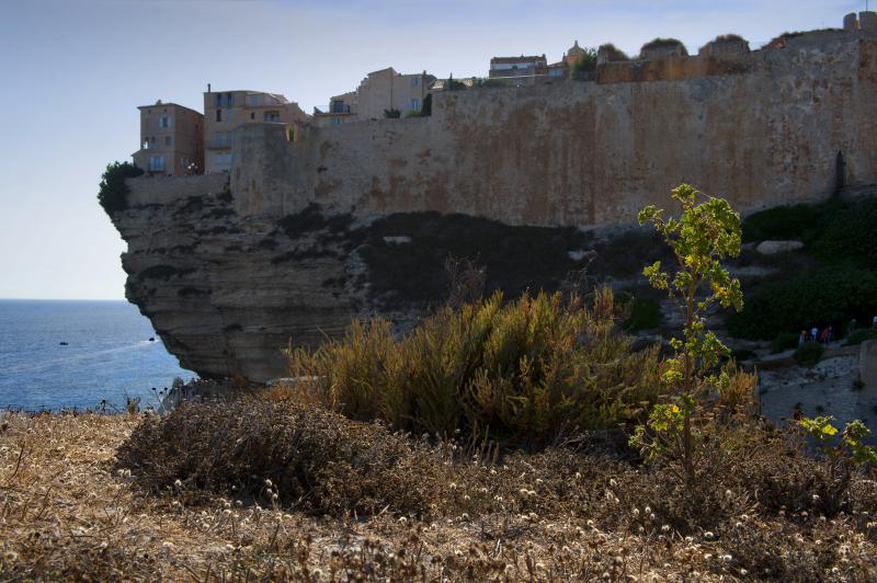 Korsyka Bonifacio klif