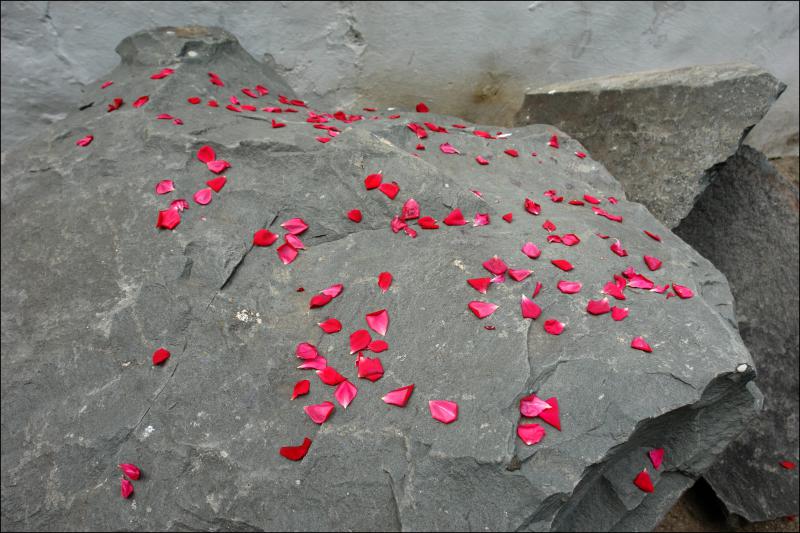 Krym Bachczysaraj płatki róży