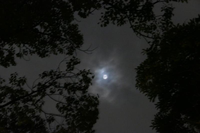 Szczególny nastrój. Księżyc nad Hiroszimą