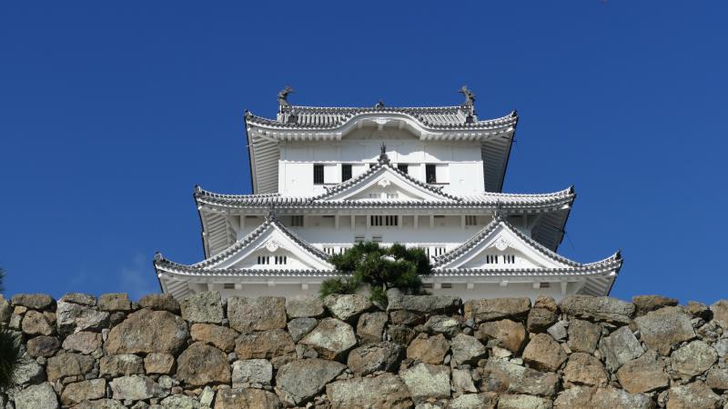Wyrafinowana harmonia zamku Himeji. Barwy kamienia, biel ścian i zieleń sosny