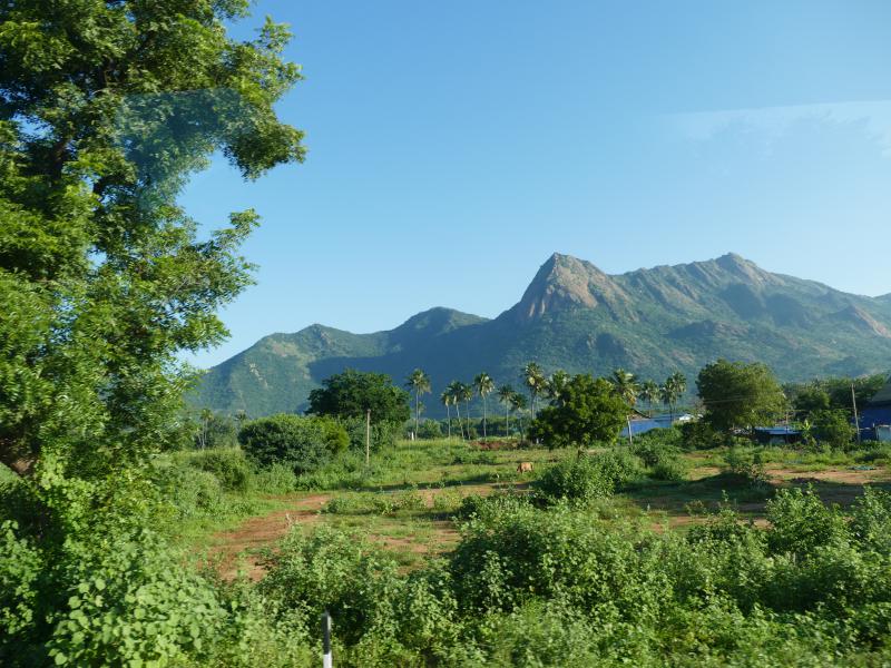 Krajobraz Kerali.  Wzgórza Kardamonowe