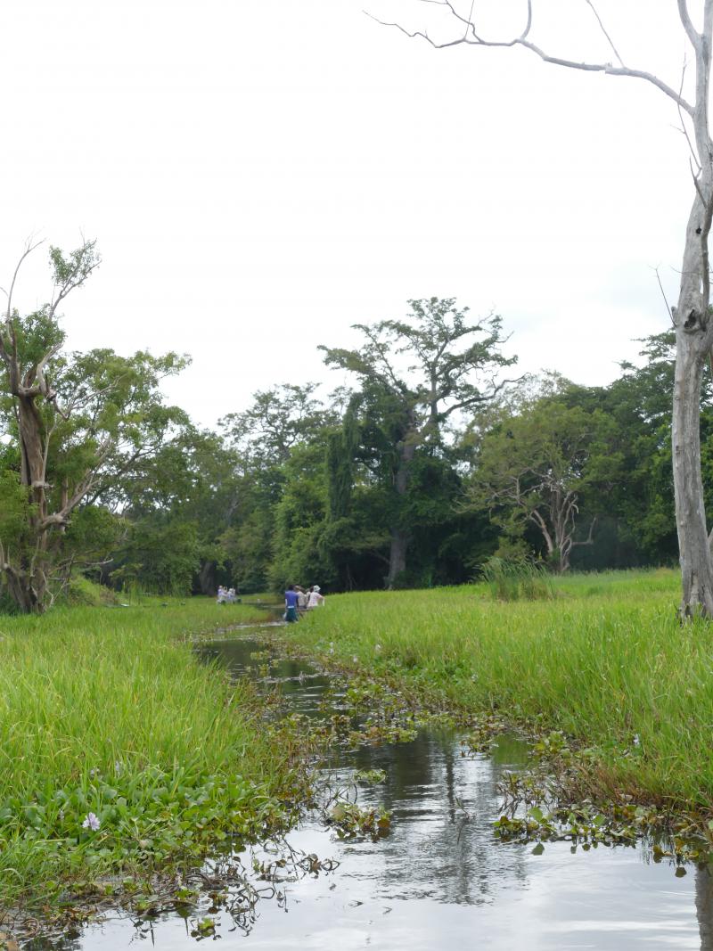 Droga wodna przez lankijską dżunglę 