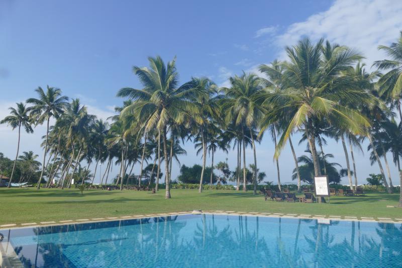 Luksusowy basen hotelowy pod palmami