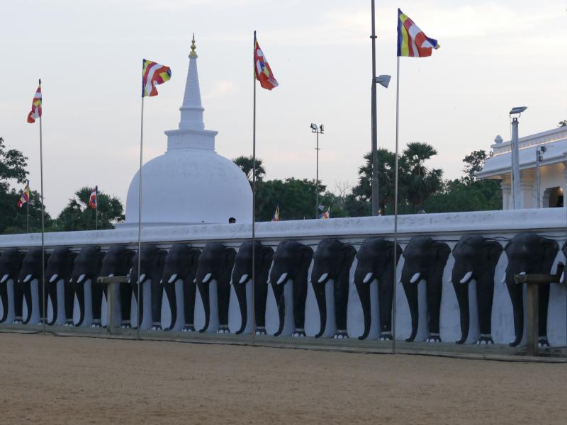 Anuradhapura. Świątynia  Ruwanveli.  Głowy 344 słoni na ogrodzeniu wielkiej dagoby