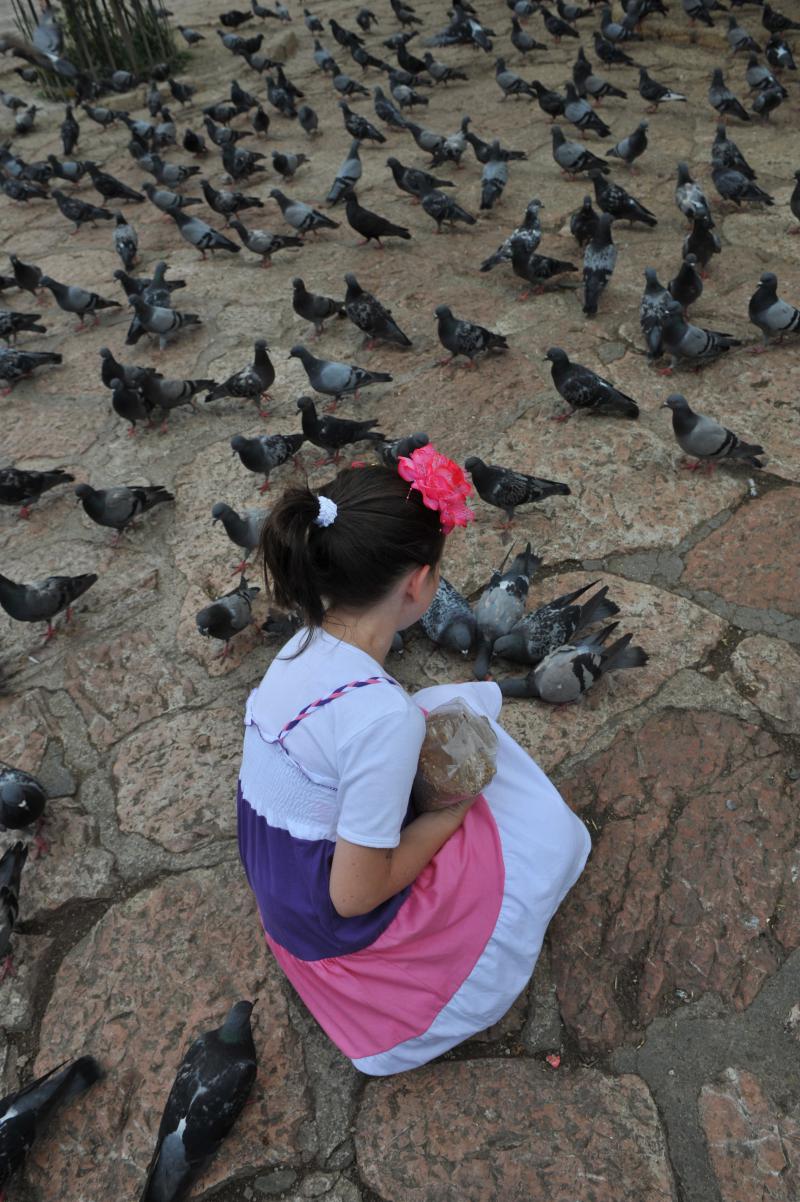 Sarajewo dziewczynka karmi gołębie