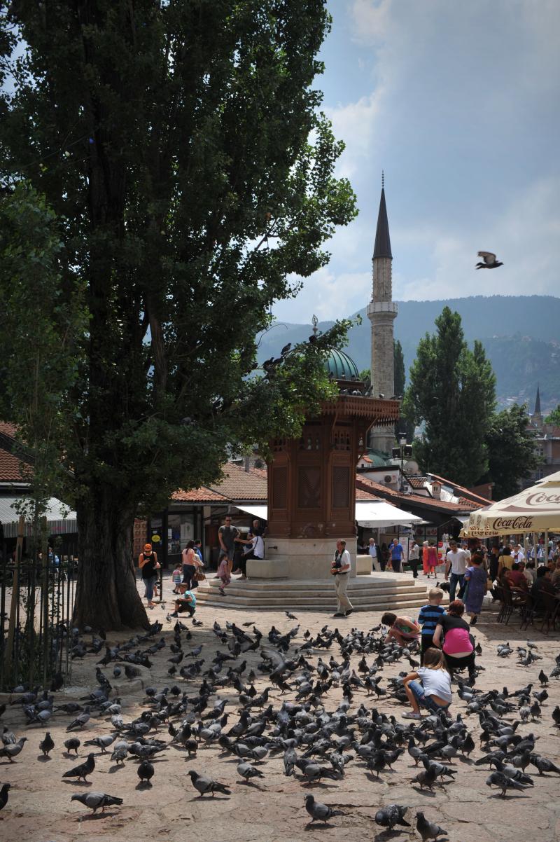Sarajewo plac gołębie minaret