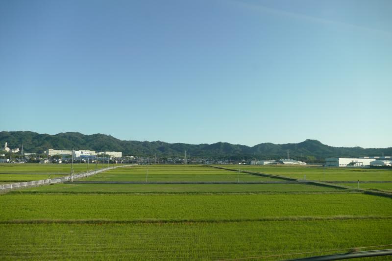 Japonia. Krajobraz rolniczy z okien pociągu